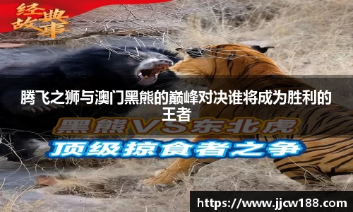 腾飞之狮与澳门黑熊的巅峰对决谁将成为胜利的王者