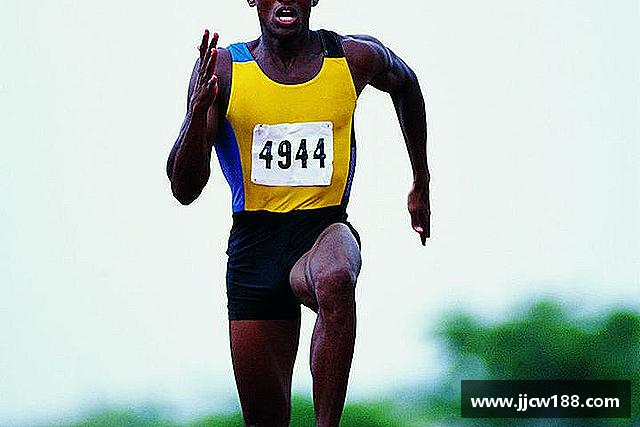 关于九游体育.九游体育官网入口